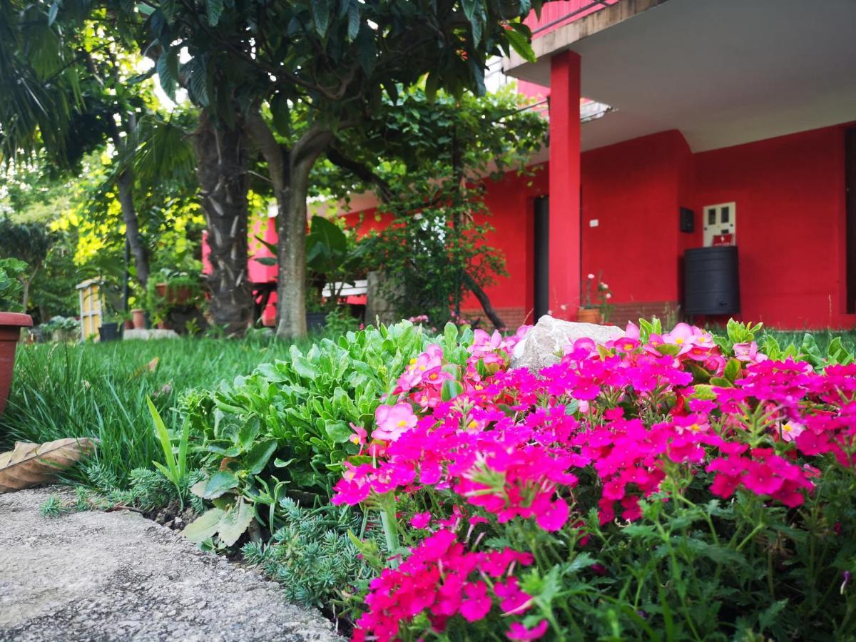 Apartments Zimerman Portoroz Luaran gambar