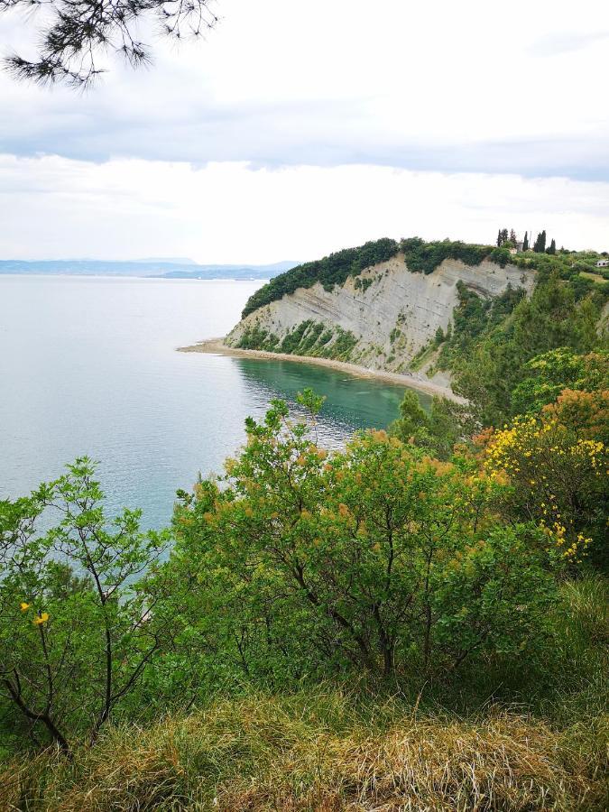 Apartments Zimerman Portoroz Luaran gambar